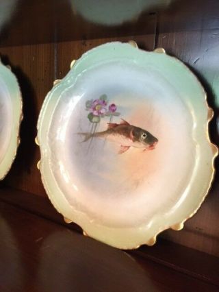 13 Pc Antique Hand Painted Limoges Fish Platter,  Plates LOVELY 5
