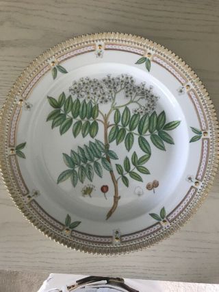 Flora Danica 12” Plate Sorbus Aucuparia