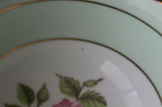 Paragon Cabbage Rose Handle Green Gold Teacup Tea Cup Saucer Flower Center 7