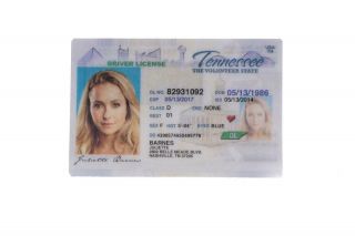 Nashville Juliette Hayden Panettiere License Checkbook Phone Cover & Mug 2