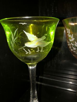 Six MOSER CRYSTAL BIRDS OF THE WILD WINE HOCK GLASSES 5