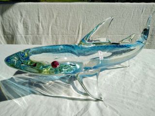 Hand Blown Pilgrim Glass Shark Signed By Artist Roberto Moretti