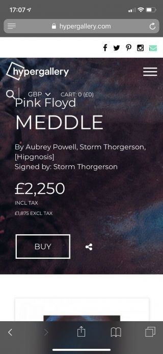 Pink Floyd Very Rare Meddle Screenprint Signed By Artist Storm Thorgerson 6