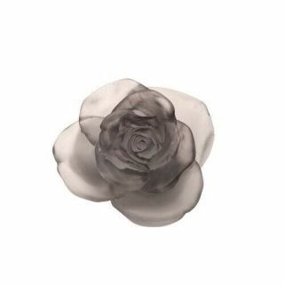 Daum Rose Passion Decorative Flower Gray Art Glass Made In France 05290 - 7