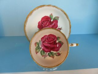 Vintage Paragon Huge Deep Red Rose Wide Mouth Cup And Saucer