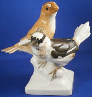 Schwarzburger Werkstatten Porcelain Bird Pair Figure Figurine Porzellan Figur
