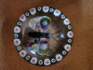 Rare Baccarat Garlanded Butterfly 19th century millefiori paperweight 3