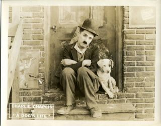 Authentic 1918 Charlie Chaplin A Dog ' s Life Set of 8 Lobby Cards 8x10 10