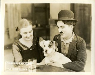 Authentic 1918 Charlie Chaplin A Dog ' s Life Set of 8 Lobby Cards 8x10 6