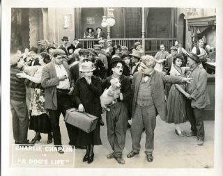 Authentic 1918 Charlie Chaplin A Dog ' s Life Set of 8 Lobby Cards 8x10 7