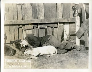 Authentic 1918 Charlie Chaplin A Dog ' s Life Set of 8 Lobby Cards 8x10 8