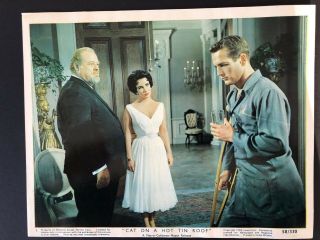 Lobby Cards_original Complete Set From Cat On A Hot Tin Roof