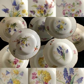 8 Antiques Meissen Porcelain Soup Plates Art Nouveau Naturalistic A