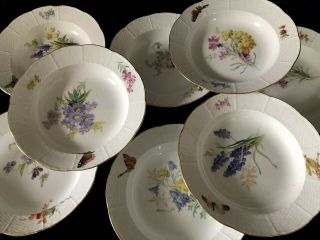 8 Antiques meissen porcelain Soup Plates Art Nouveau Naturalistic A 2