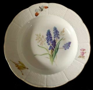 8 Antiques meissen porcelain Soup Plates Art Nouveau Naturalistic A 6