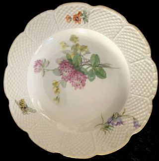 8 Antiques meissen porcelain Plates Art Nouveau Naturalistic A 10
