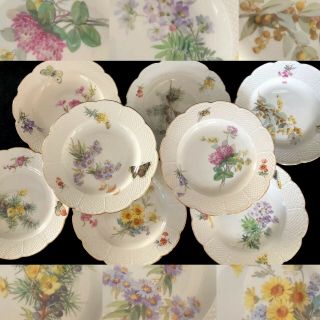 8 Antiques Meissen Porcelain Plates Art Nouveau Naturalistic A