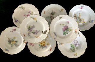 8 Antiques meissen porcelain Plates Art Nouveau Naturalistic A 2