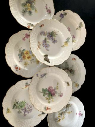 8 Antiques meissen porcelain Plates Art Nouveau Naturalistic A 3