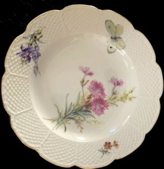 8 Antiques meissen porcelain Plates Art Nouveau Naturalistic A 4