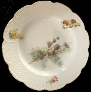 8 Antiques meissen porcelain Plates Art Nouveau Naturalistic A 6