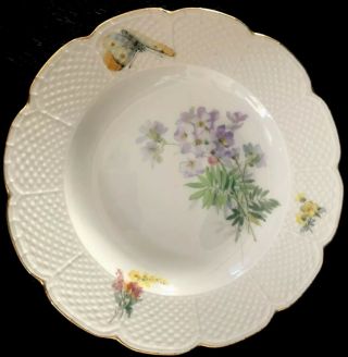 8 Antiques meissen porcelain Plates Art Nouveau Naturalistic A 7