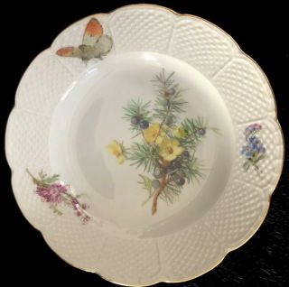 8 Antiques meissen porcelain Plates Art Nouveau Naturalistic A 8