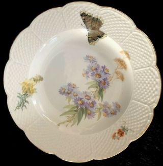 8 Antiques meissen porcelain Plates Art Nouveau Naturalistic A 9