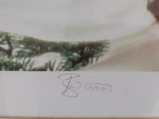 David Bowie Blood And Glitter Book And Limited Edition Print 79/100 Autographed 10