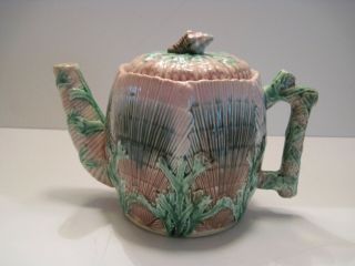 Rare - Griffin,  Smith & Hill Majolica Coffee/tea Pot - Shell & Seeweed Pattern