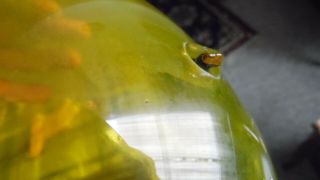 Vintage Blenko Art Glass Decanter Wayne Husted 5912 Jonquil Yellow 7