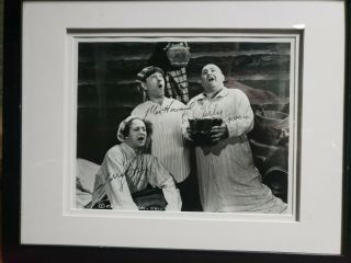 Three Stooges Howard Curly,  Moe & Larry Fine Autographed Matted And Framed