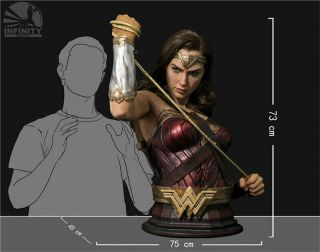 Wonder Woman Bust 1/1 Scale Life size Resin Model INFINITY Studios Pre - order 2