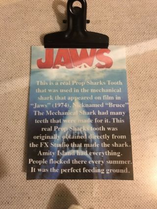 JAWS 1975 Bruce’s Tooth Movie Prop Piece. 3