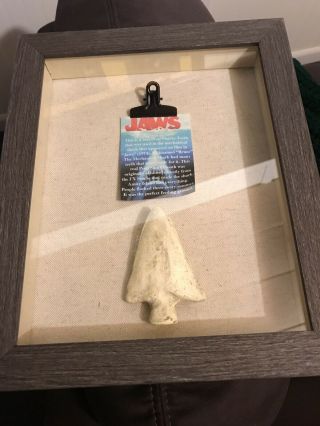 JAWS 1975 Bruce’s Tooth Movie Prop Piece. 4