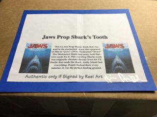 JAWS 1975 Bruce’s Tooth Movie Prop Piece. 5