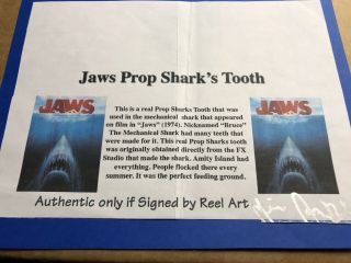JAWS 1975 Bruce’s Tooth Movie Prop Piece. 6