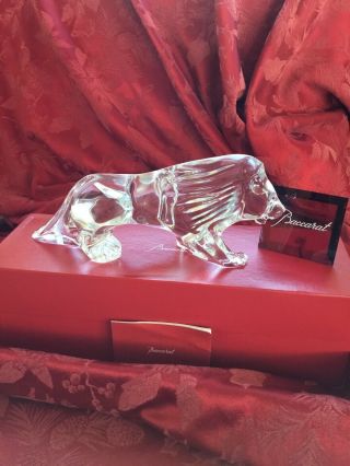 Mib Flawless Stunning Baccarat Crystal 11 " Lion Mane Roar Tiger Panther Figurine