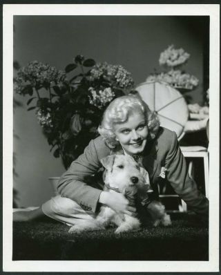 Jean Harlow W Dog 1930s George Hurrell Stamp Mgm Portrait Dblwt Photo