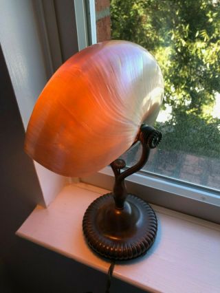 Signed Tiffany Studios Nautilus Lamp 8