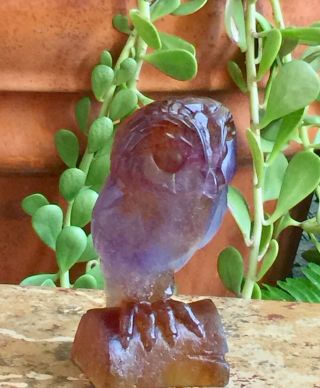 DAUM Pate de Verre Crystal 6” Amethyst Blue Amber EDWIGE Owl Sitting on Stump 6