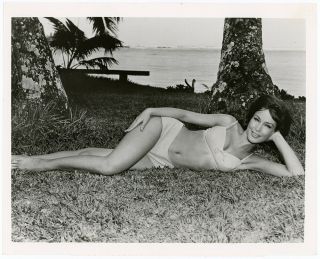 Bikini Bathing Beauty Barbara Eden Vintage 1968 Ride Wild Surf Pin - Up Photograph