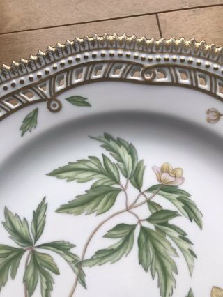Royal Copenhagen Flora Danica Dinner Plate Anemone Ranunculoidi Nemorosa Perfect 2