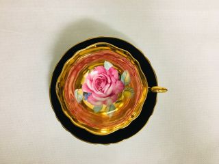 Paragon Pink Cabbage Rose On Gold Teacup And Saucer England Bone China Very Rare