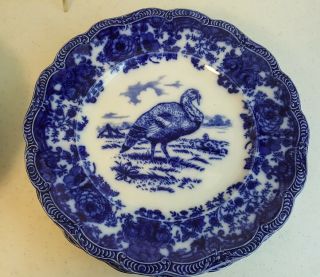 Antique Ridgway Staffordshire Flow Blue Turkey Platter & 12 Dinner Plates 10