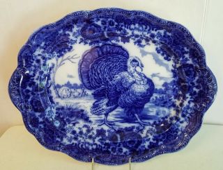 Antique Ridgway Staffordshire Flow Blue Turkey Platter & 12 Dinner Plates 2