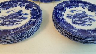 Antique Ridgway Staffordshire Flow Blue Turkey Platter & 12 Dinner Plates 9