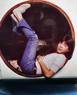 The Best Young David Cassidy Vintage Exquisit Transparency 8 " X 10 "