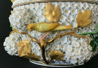 Vintage Meissen Porcelain Schneeballen Round Box W/Lid & Applied Flowers & Birds 2