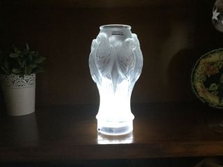 Rare Lalique Crystal “parrot” Vase (signed “lalique R France” On Base)